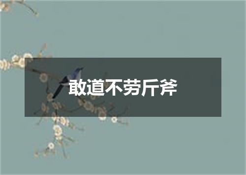 敢道不劳斤斧