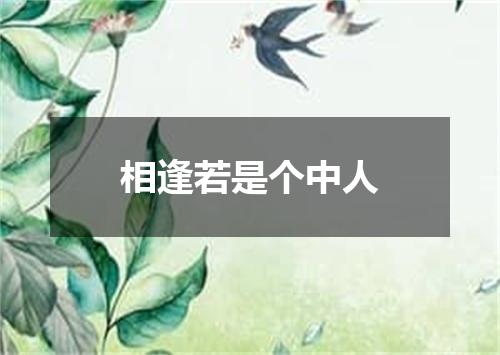 相逢若是个中人