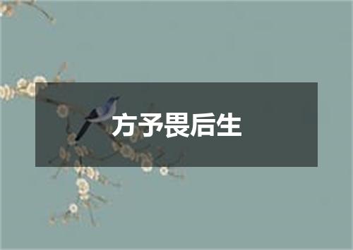 方予畏后生