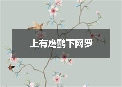 上有鹰鹯下网罗