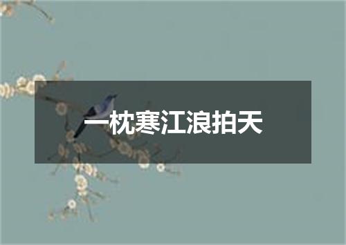 一枕寒江浪拍天