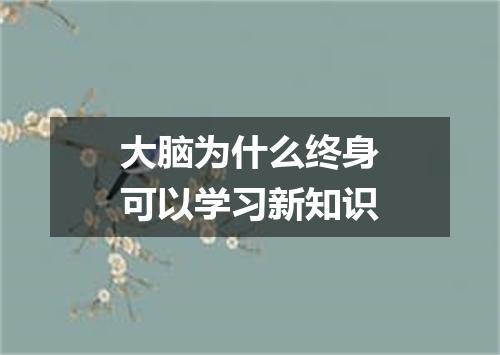 大脑为什么终身可以学习新知识