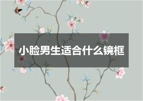 小脸男生适合什么镜框