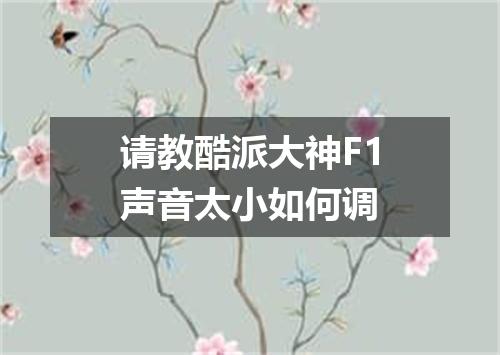 请教酷派大神F1声音太小如何调