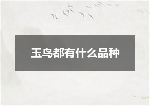 玉鸟都有什么品种