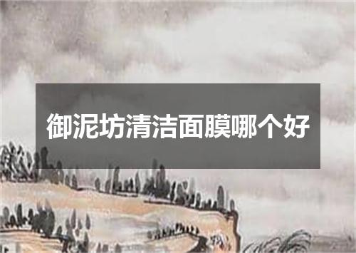 御泥坊清洁面膜哪个好