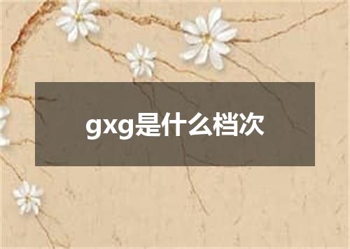 gxg是什么档次