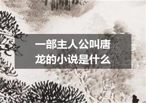 一部主人公叫唐龙的小说是什么