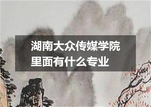 湖南大众传媒学院里面有什么专业