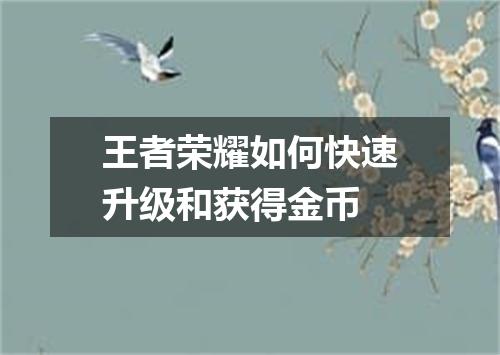 王者荣耀如何快速升级和获得金币