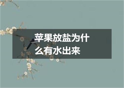 苹果放盐为什么有水出来