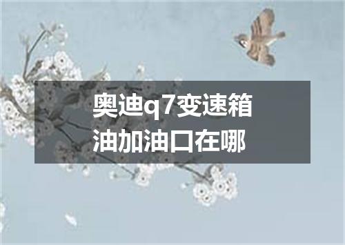 奥迪q7变速箱油加油口在哪
