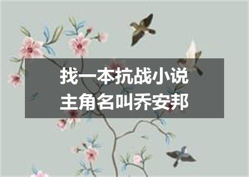 找一本抗战小说主角名叫乔安邦
