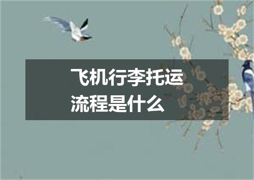 飞机行李托运流程是什么