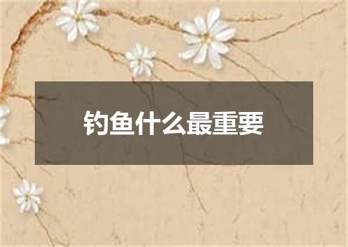 钓鱼什么最重要