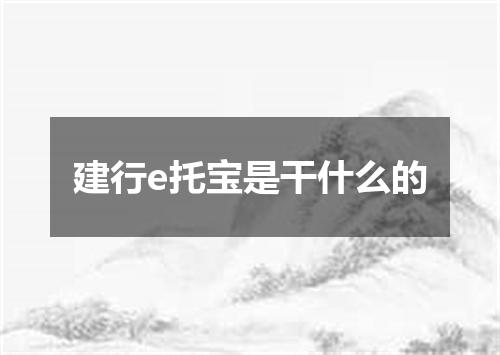 建行e托宝是干什么的