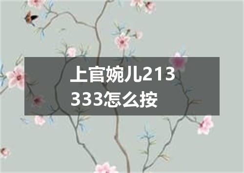 上官婉儿213333怎么按