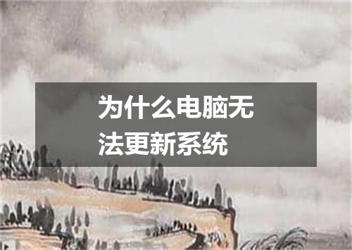 为什么电脑无法更新系统
