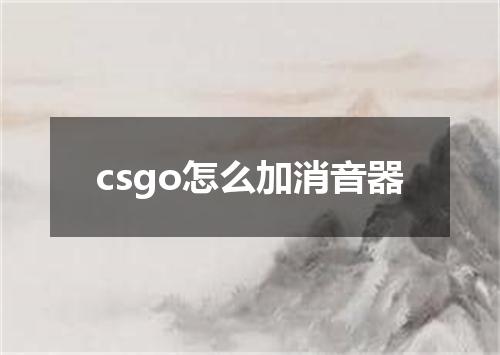 csgo怎么加消音器