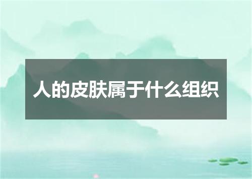 人的皮肤属于什么组织