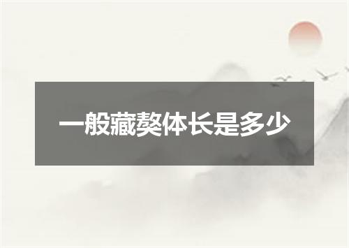 一般藏獒体长是多少