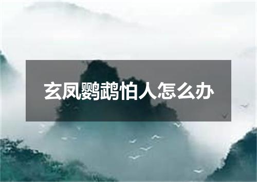 玄凤鹦鹉怕人怎么办