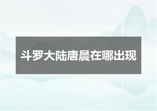斗罗大陆唐晨在哪出现