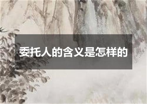 委托人的含义是怎样的