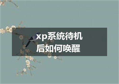 xp系统待机后如何唤醒