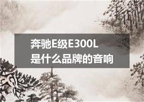 奔驰E级E300L是什么品牌的音响
