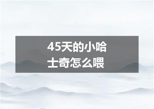 45天的小哈士奇怎么喂