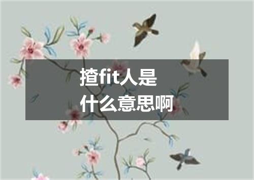 揸fit人是什么意思啊