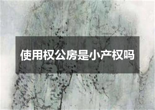 使用权公房是小产权吗