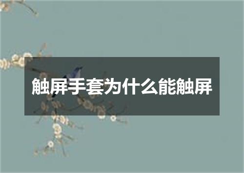 触屏手套为什么能触屏