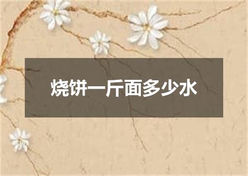 烧饼一斤面多少水