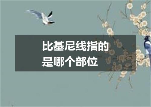 比基尼线指的是哪个部位