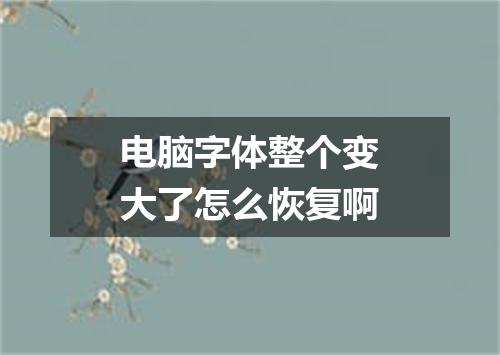 电脑字体整个变大了怎么恢复啊
