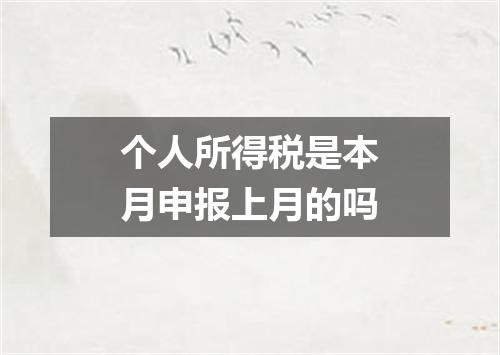 个人所得税是本月申报上月的吗