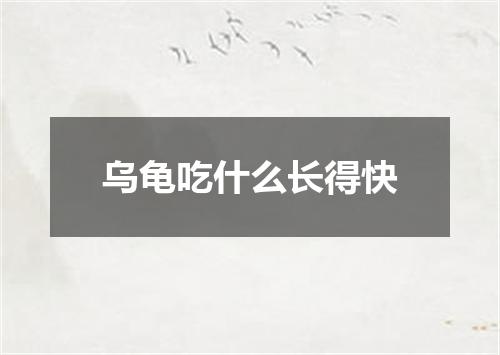 乌龟吃什么长得快