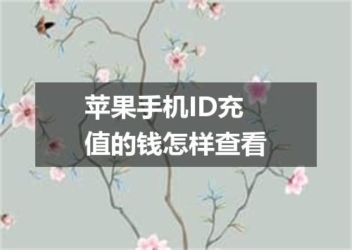 苹果手机ID充值的钱怎样查看