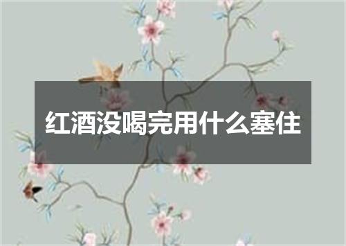 红酒没喝完用什么塞住