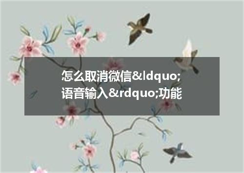 怎么取消微信&ldquo;语音输入&rdquo;功能