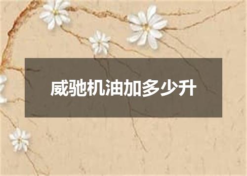 威驰机油加多少升