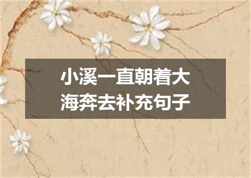 小溪一直朝着大海奔去补充句子