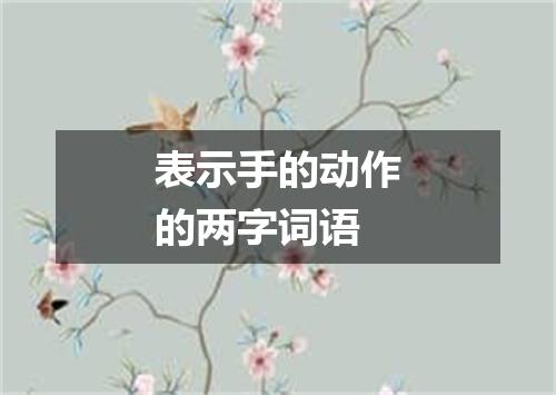 表示手的动作的两字词语