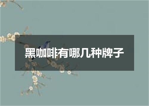 黑咖啡有哪几种牌子