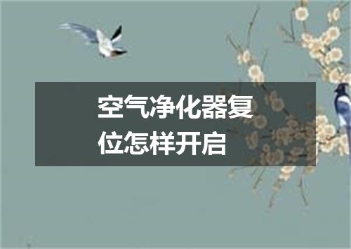 空气净化器复位怎样开启