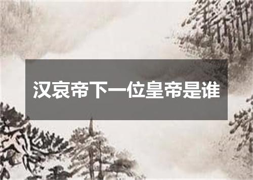 汉哀帝下一位皇帝是谁