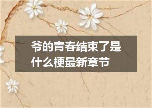 爷的青春结束了是什么梗最新章节