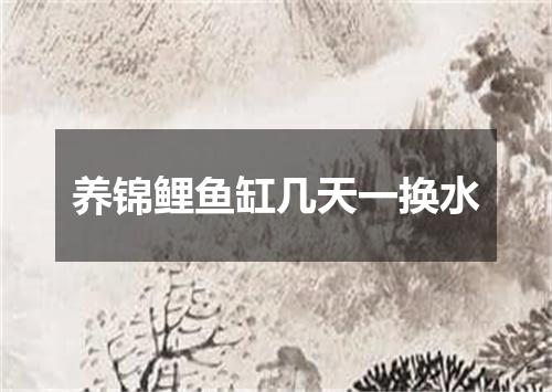 养锦鲤鱼缸几天一换水